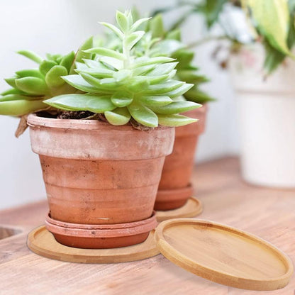 Ceramic Plant Pot Set with Bamboo Saucers (3-Pack)